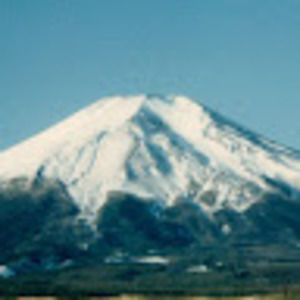 Meet your Posher, Larry